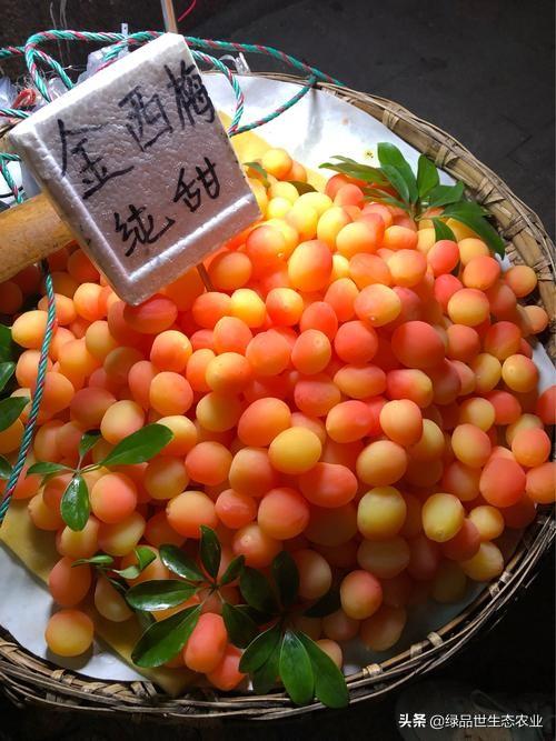 东南亚十大网红水果，如果你也想飞去泰国吃水果大餐