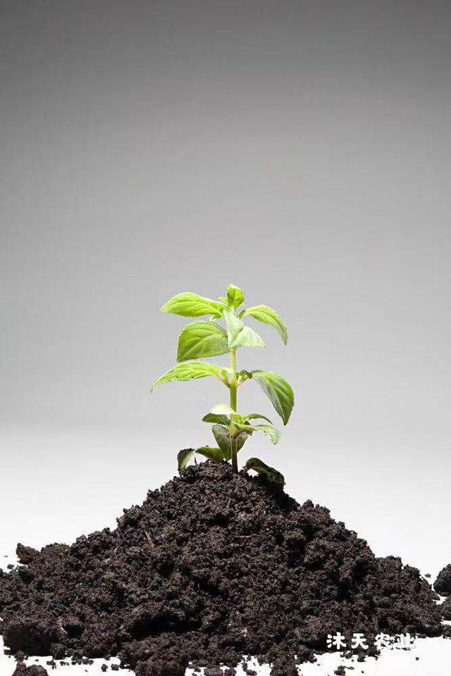 农田土壤改良剂，天然“土壤改良剂”助推农业绿色高质量发展