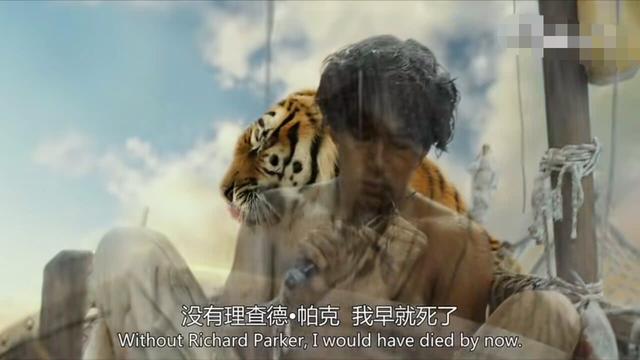 少年的奇幻漂流记，少年派的奇幻漂流中的故事