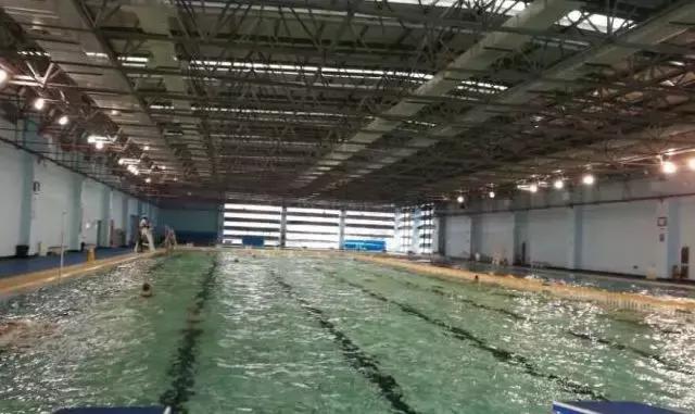 杭州特色游泳馆，小起点攻略篇带你一步到位