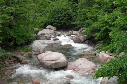 骈体文的四大特征，为何只有中国才有骈体文