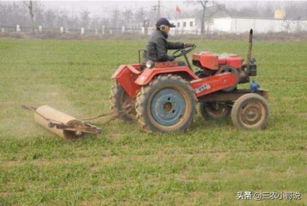 小麦什么时候播种，小麦什么时候播种最好（小麦该播种了，播期要推迟吗）