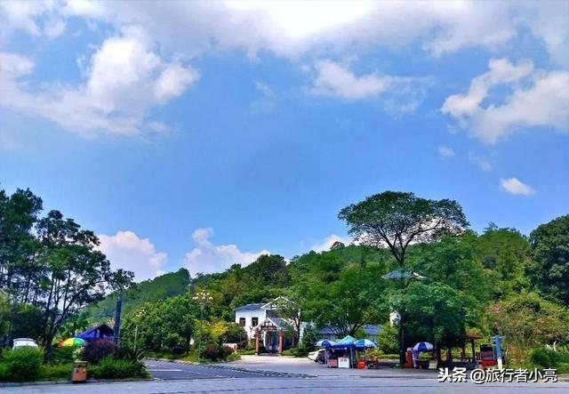 郴州网红景点排名，湖南省郴州市有什么旅游景点（超级适合周末出游和部门团建）