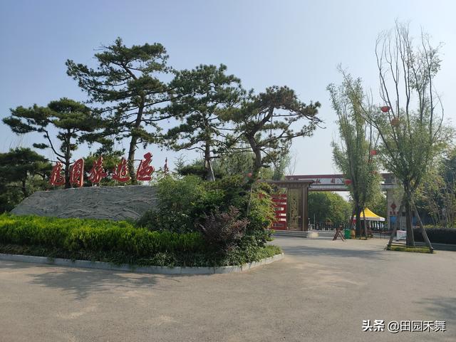 临沂龙园旅游区攻略，不仅传播龙文化