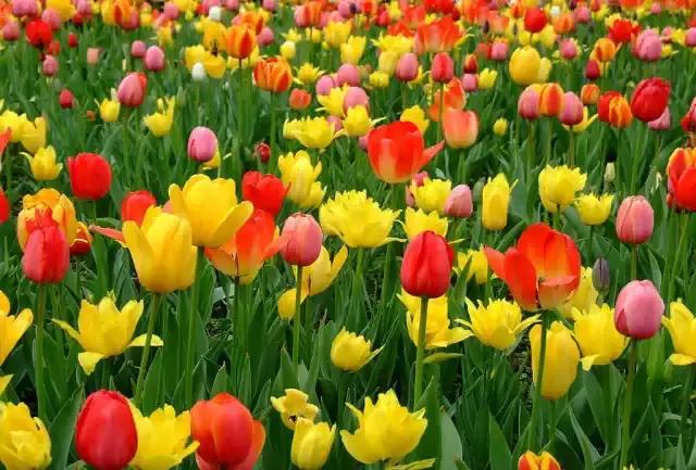 龙溪园水上乐园门票，沈阳周边旅游二日游