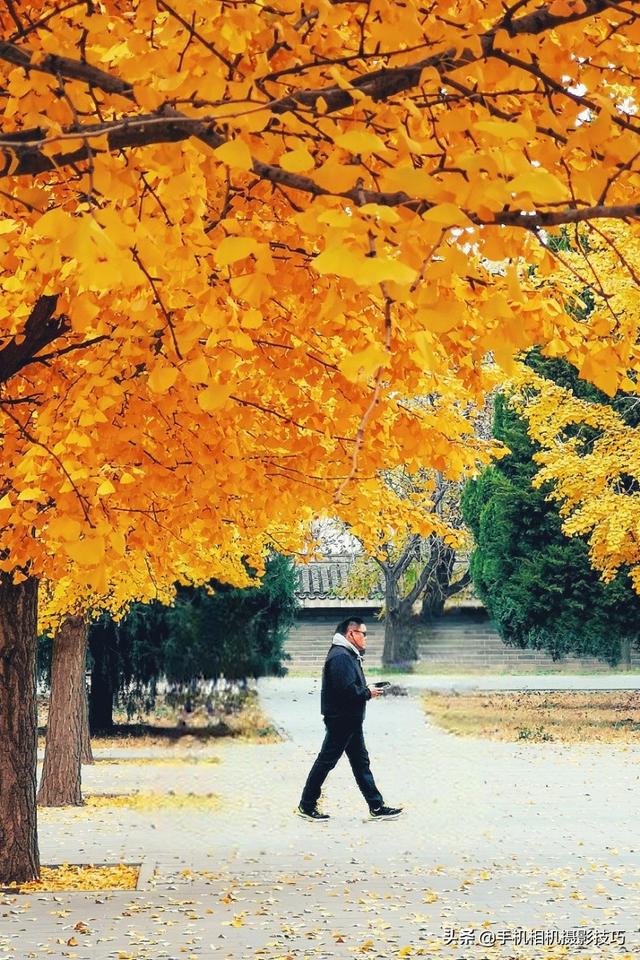 手机人工智能抠图软件，一键人像抠图