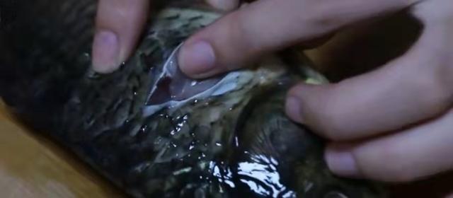 鱼腥线怎么去除，怎样去鱼腥线的方法