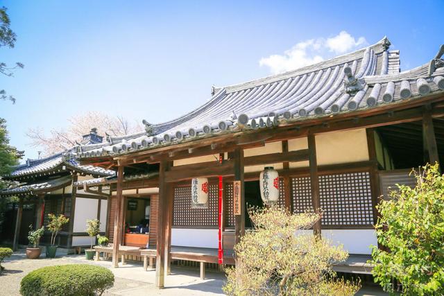 阴阳师百鬼夜行，从游戏看日本妖怪传说（阴阳师百鬼夜行排行）