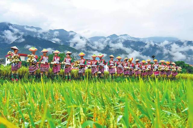 昆明到西双版纳最佳旅游路线，昆明坐火车去西双版纳3.5小时到达