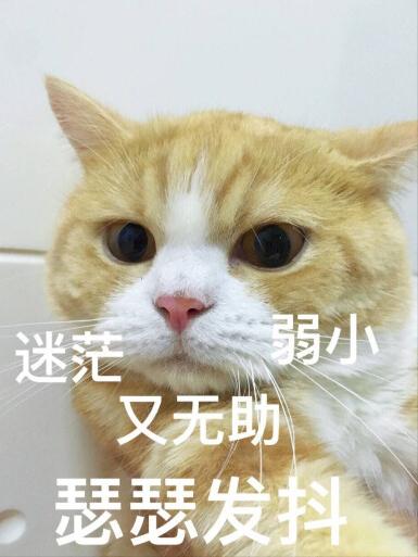 希腊神话最厉害的人物，十二项不可能完成的任务只有他能办成