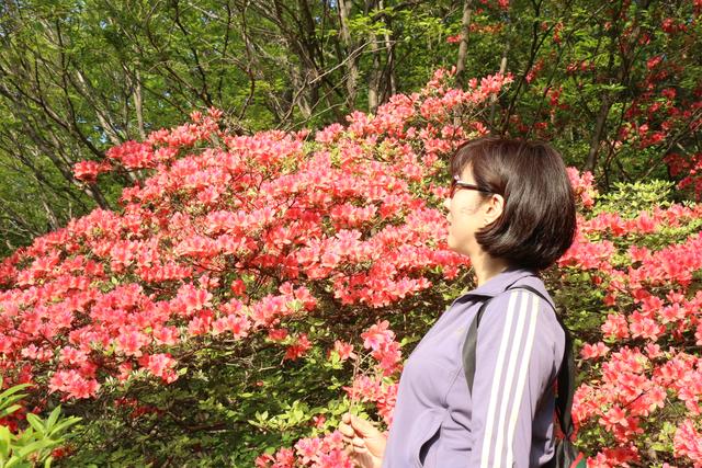 怎样不晕车小妙招，15个小妙方保您旅途一路顺风不再晕车（如何不晕车小妙招）