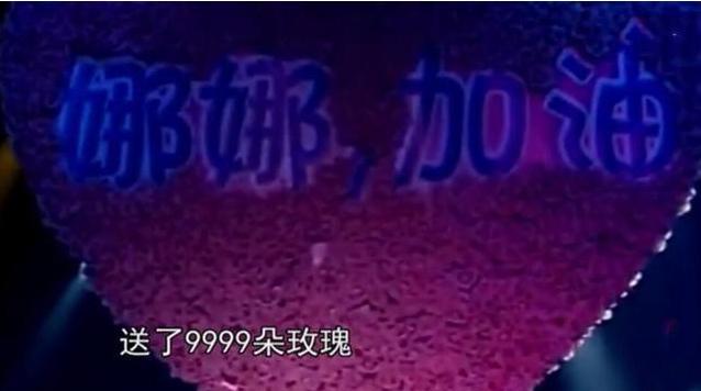 谢娜背后的故事，谢娜刘烨个人资料（失去“庇护”的快乐家族接连翻车）
