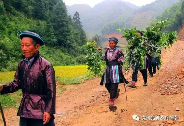瑶浴什么地的最正宗，有中国“最神奇”的中医养生
