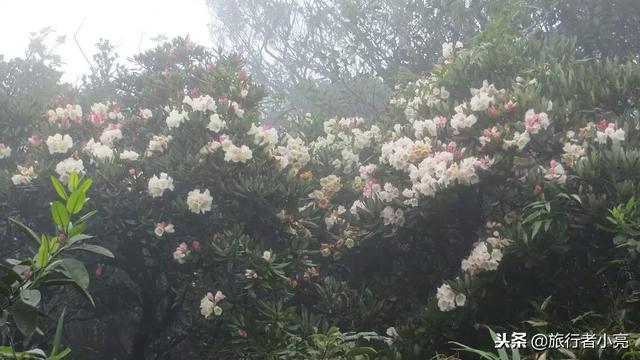 广西旅游景点大全，广西十大旅游景点推荐排名（广西旅游必去十大景点）