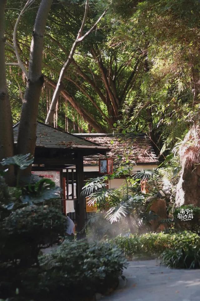 南宁附近花海景点推荐，南宁这几处花海，美了