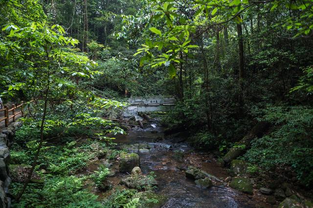 阳明山国家森林公园，阳明山国家森林公园开放时间