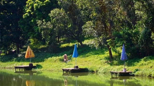 广州大夫山在哪，广州番禺-大夫山