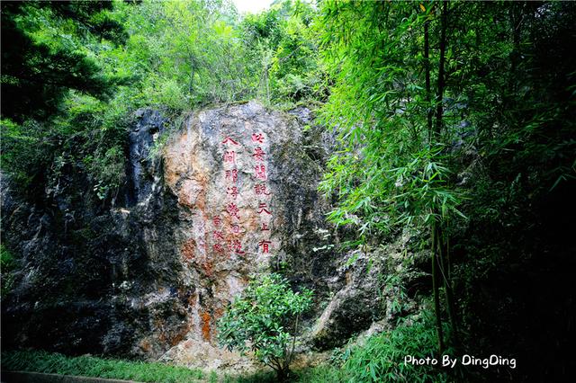 贵州龙宫溶洞简介，亚洲溶洞之王贵州织金洞