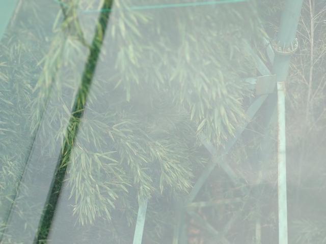 宜兴旅游攻略自助游推荐，满意的宜兴深度游