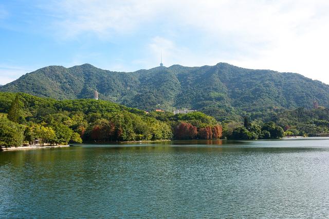 深圳市仙湖植物园，深圳仙湖植物园适合夏天逛吗（深圳仙湖植物园现场实拍图来了）