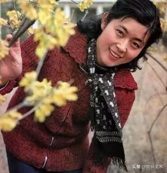 倪萍画画作品，倪萍一幅画卖150万