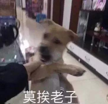 怎样哄男朋友开心，女朋友哄男朋友的70种方法（怎么哄男友最有效）