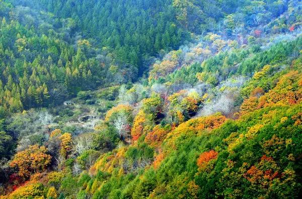 龙溪园水上乐园门票，沈阳周边旅游二日游