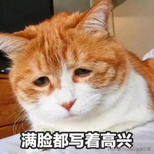伏案不動圓肩腿粗屁股大，20像50？辦公室如何練出S曲線？ 健身減肥達人 第1张