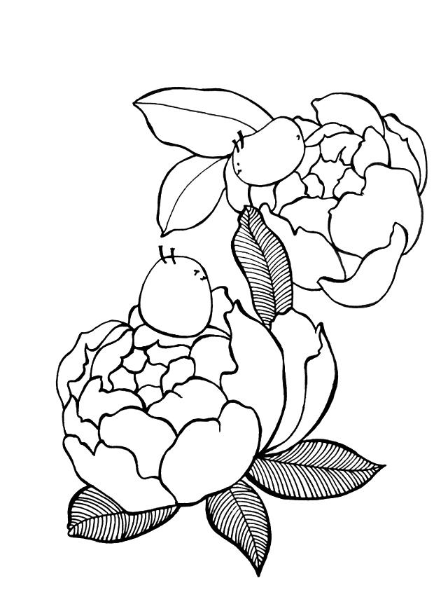 简单易学的画画，简笔画简单易学基础