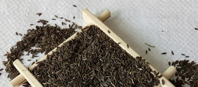 催乳师常用的催乳方法，偏方催乳也要对证