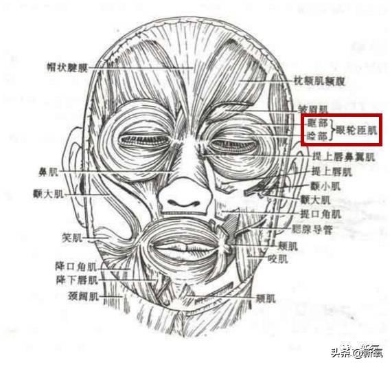 61岁周华健为31岁儿子庆生，31岁儿子留长发满嘴胡子