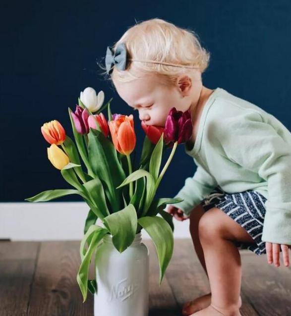白色郁金香图片，10朵白色郁金香花语（白色郁金香花束）
