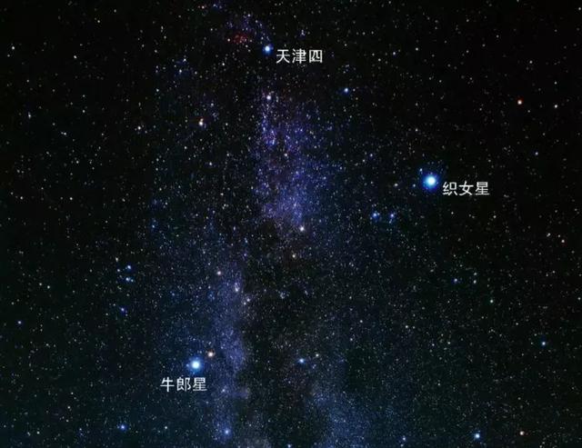 与其赶着人挤人，与亲朋好友奔赴一场叹茶之约