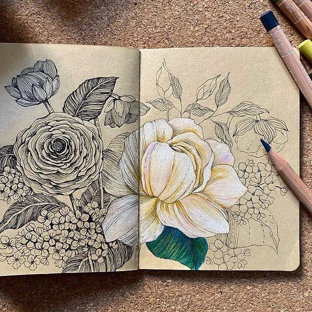 妙笔生花水墨画教程，教科书级别的植物线描