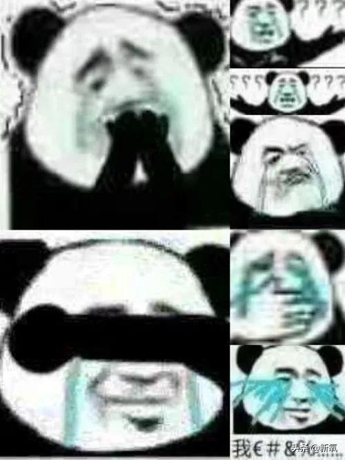 小野妹子学吐槽，prada为什么那么便宜