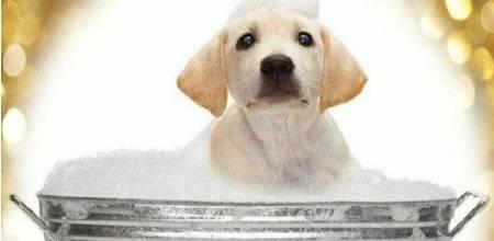 环保酵素制作好了怎么使用，环保酵素34