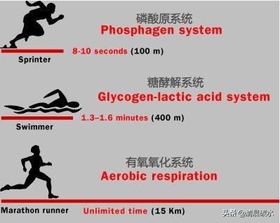 快速减脂有氧还是无氧，搞清楚有氧与无氧的代谢问题