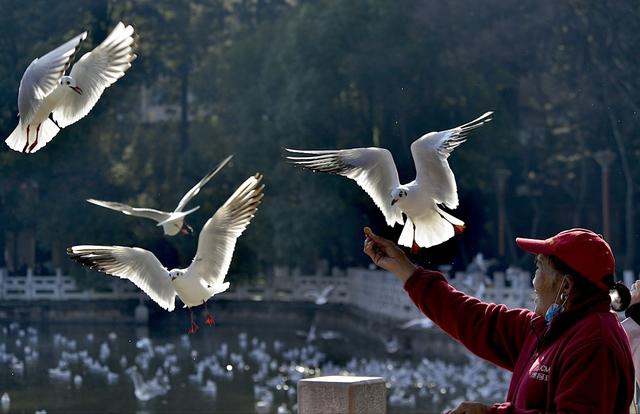 昆明最大的鲜花市场叫什么名字，昆明最受欢迎的2大花市