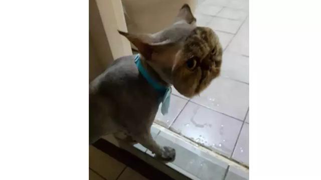 立马见效脸变小的方法，四招让你快速瘦脸