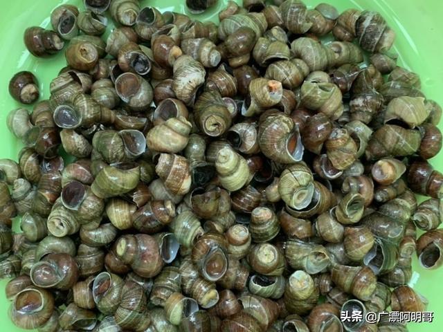 嗦螺，正宗湘味嗦螺做法