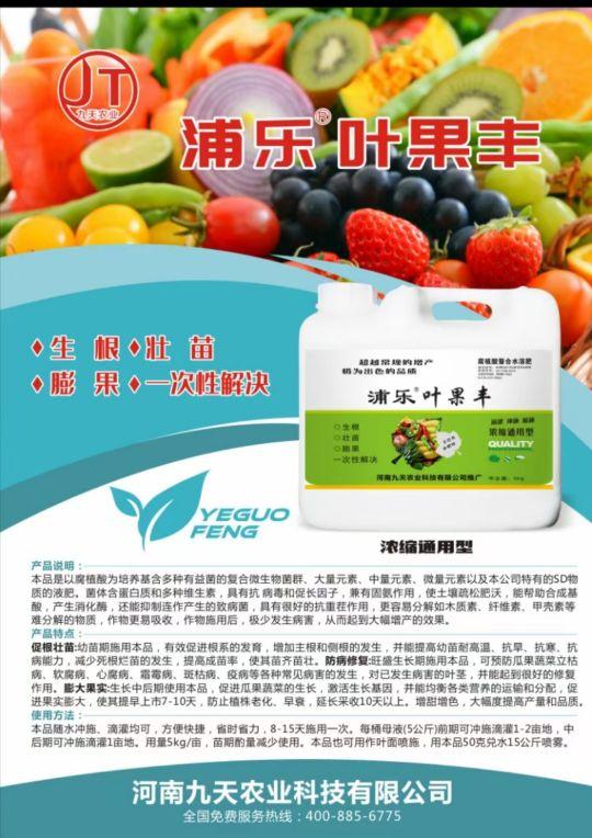 日灼病怎么治疗，茄子容易发生“日灼病”