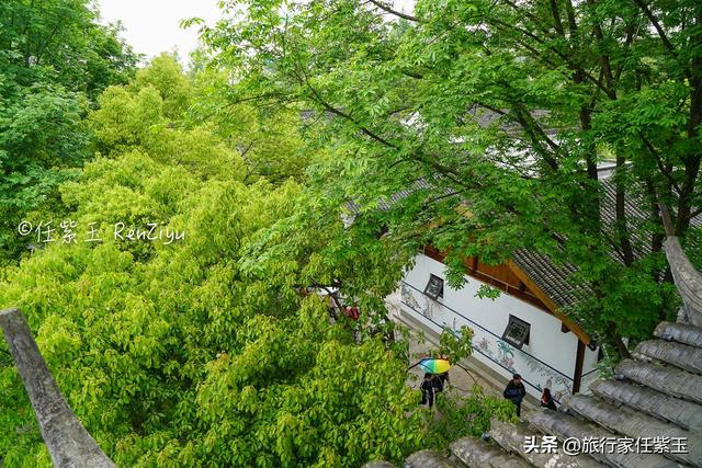 杭州西溪湿地旅游建议，湿地之美丨杭州西溪湿地