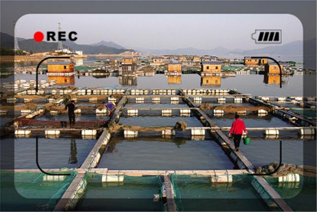 农村做什么致富，当今社会在农村做什么能致富（三个一般人不知道的赚钱项目）