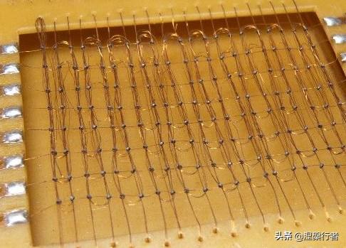 十位科学家获授勋章和荣誉称号，获得美国总统自由勋章