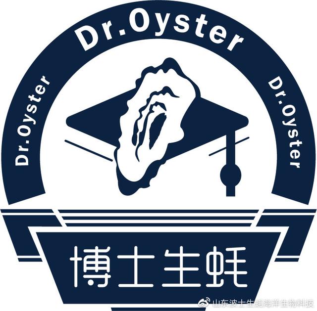 生蚝肉怎么做好吃，不加壳的生蚝怎么吃（这个季节的生蚝肥美）