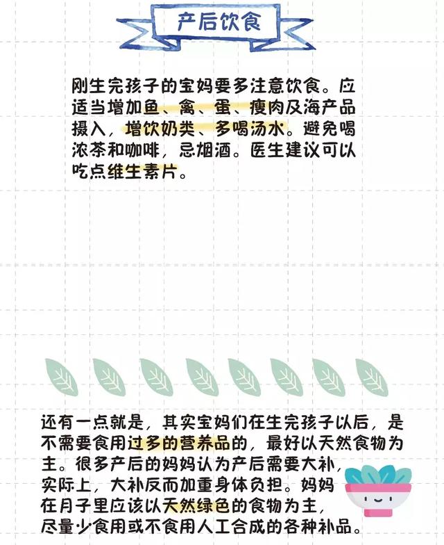 猫的生育常识和技巧，最全的入门级生育指南