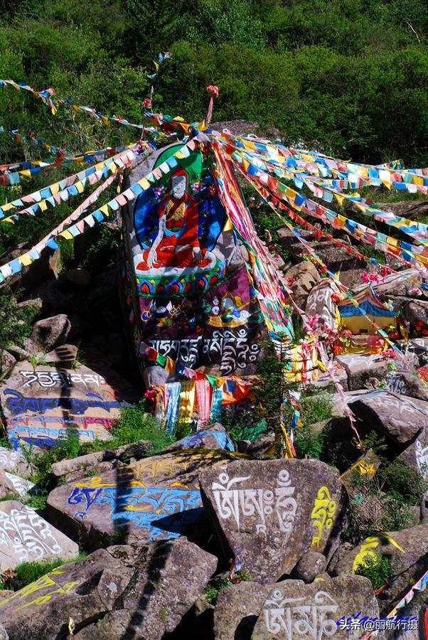 新都桥草原风景，新都桥—塔公草原—雅砻江河谷——迷人的夏季风光