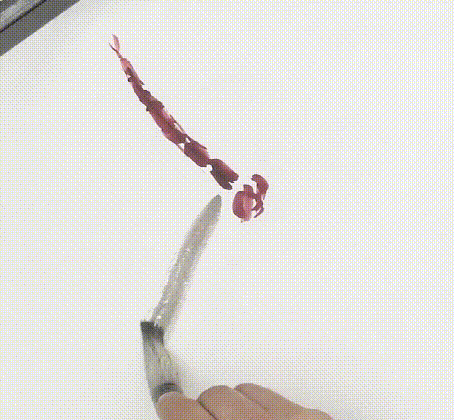 国画简单蓝蜻蜓的画法，画点荷花和蜻蜓给这个夏天降降暑