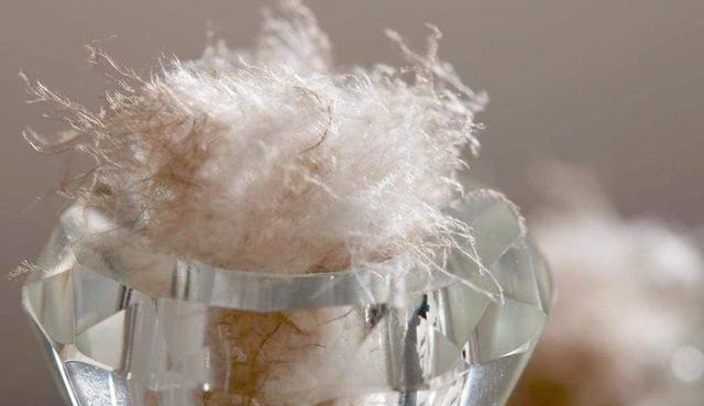 鸭绒和鹅绒什么的比较好，鹅绒与鸭绒的区别