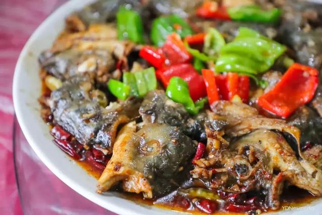 黑龙潭鲶鱼王，电工都搞不定的鲶鱼王